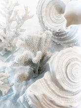 Load image into Gallery viewer, Feminine Coastal